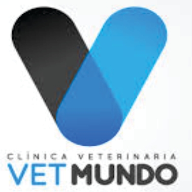 Diseño Arquitectónico y Seguridad Comercial | Icon Design Integral Design